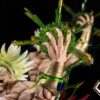BUG STUDIO – DRAGON BALL Z: BROLY [SOLD OUT] - Image 16