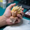 HERO BELIEF STUDIO – DRAGON BALL Z: MAJIN VEGETA [IN STOCK] - Image 16