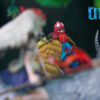OPM STUDIO – HAYAO MIYAZAKI SERIES: 4. PRINCESS MONONOKE [IN STOCK] - Image 4