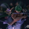 SOUL STUDIO – ONE PIECE: WANO COUNTRY RORONOA ZORO [SOLD OUT] - Image 6