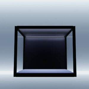 MODUSPACE – SIXTH55 DISPLAY BOX [PRE-ORDER]