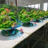 OPM STUDIO – HAYAO MIYAZAKI SERIES: 6. PONYO [IN STOCK] - Image 15
